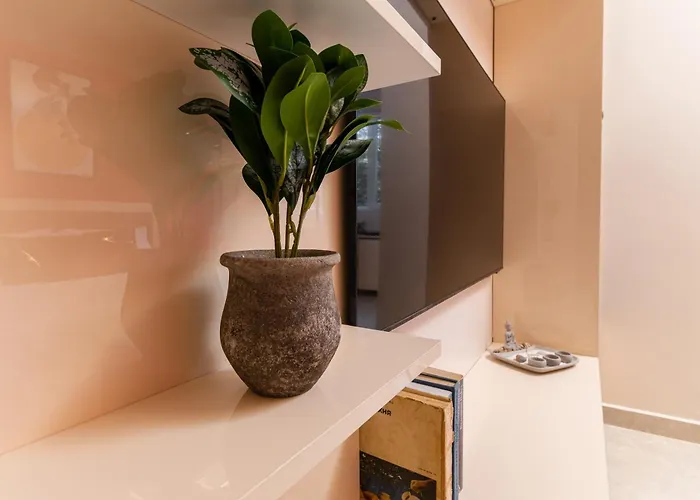 Modern & Elegant Center